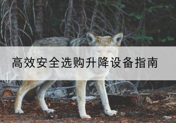 华龙升降货梯厂家推荐-*安全选购升降设备指南