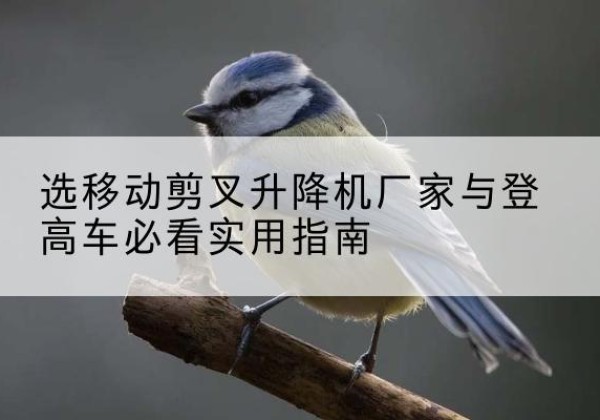 华龙电动升降机厂家-选移动剪叉升降机厂家与登高车必看实用指南
