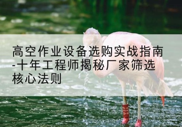 华龙剪叉式升降机厂家-高空作业设备选购实战指南-十年工程师揭秘厂家筛选核心法则
